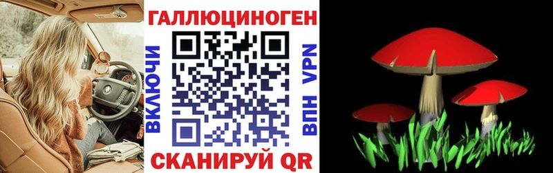 OMG ONION  Когалым  Псилоцибиновые грибы Psilocybe  цены  