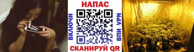 купить закладку Когалым Конопля LSD WEED