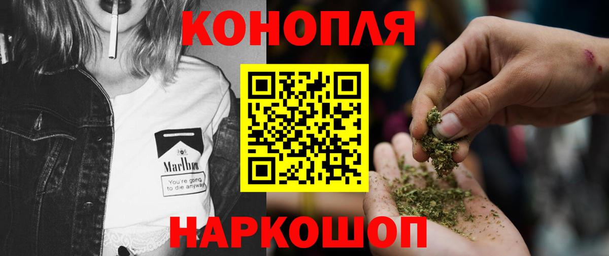 Канабис гибрид Когалым